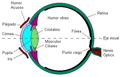 Pulse sobre el mapa para ampliar conceptos