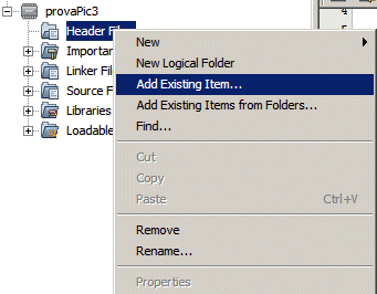Add Existing Item